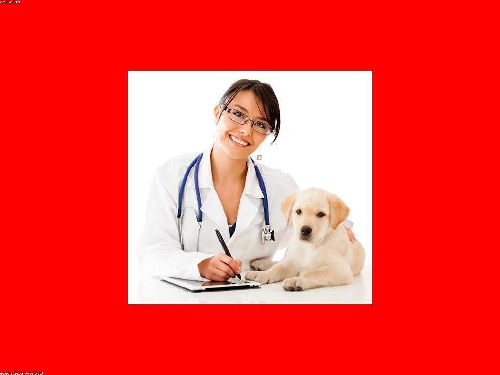 សារៈសំខាន់នៃការពិគ្រោះយោបល់ក្នុងវិស័យសុខាភិបាល