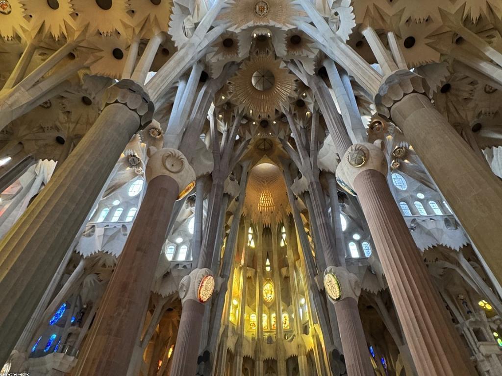 សារៈសំខាន់នៃការពិគ្រោះយោបល់ក្នុងវិស័យសុខភាពចិត្ត